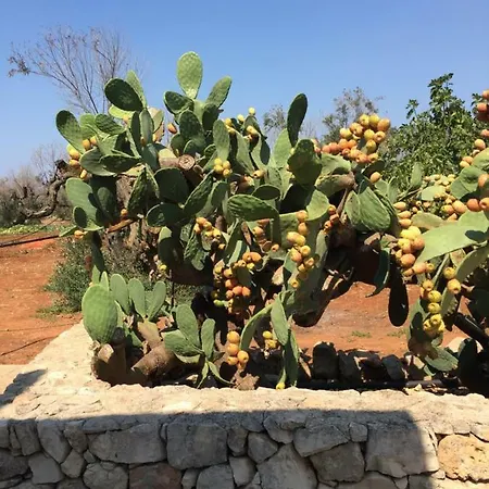 I Due Trulli Casa Vacanza Feriehus *