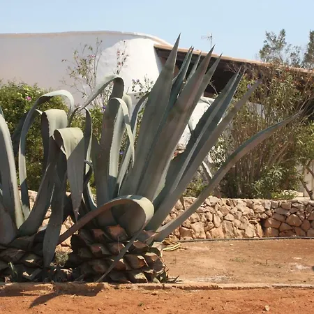 Feriehus I Due Trulli Casa Vacanza